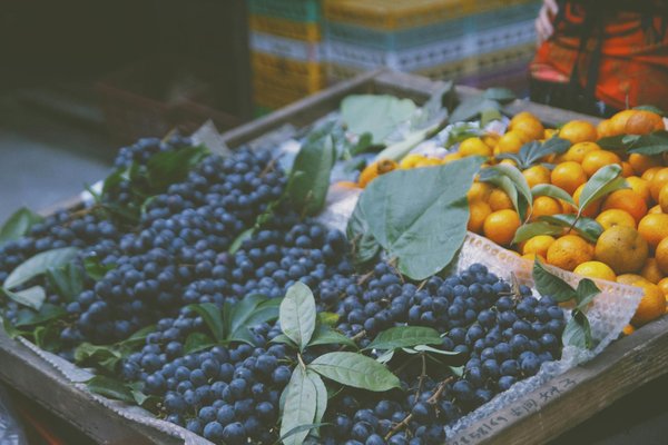 Découvrez les bienfaits de l'huile de colza bio et ses saveurs